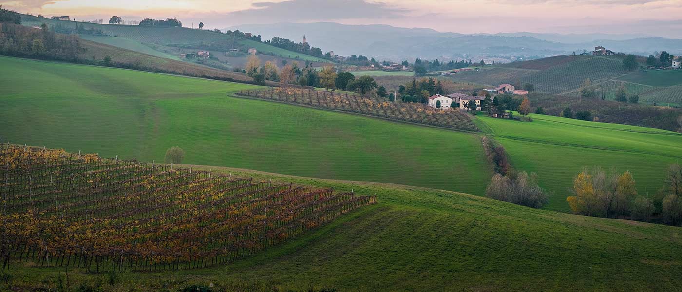 Travel Unravel Holidays Limited