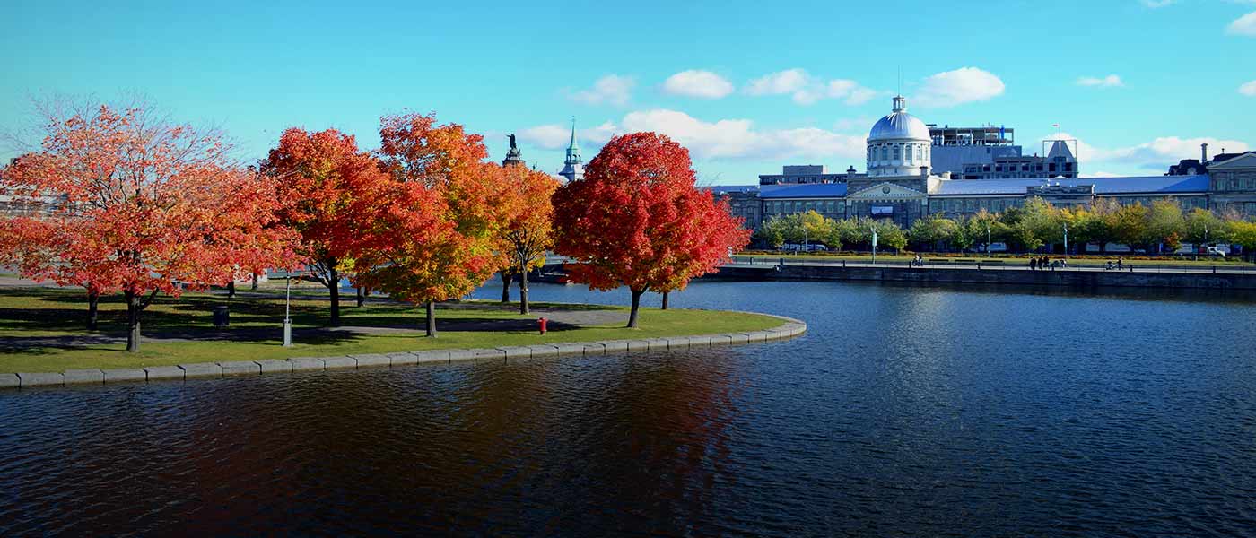 Travel Unravel Holidays Limited