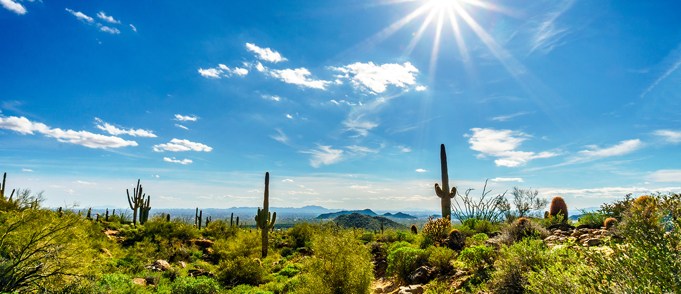 Travel Unravel Holidays Limited