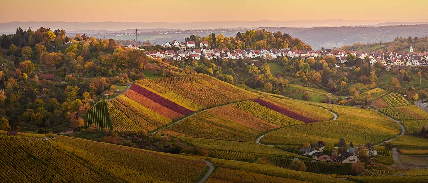 Travel Unravel Holidays Limited